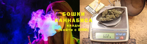 стаф Бородино