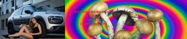 а пвп мука Верея